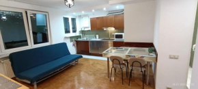 Żelazna Center Apartment
